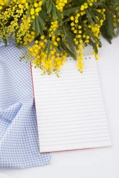 Mimosa and notebook Stock Photos