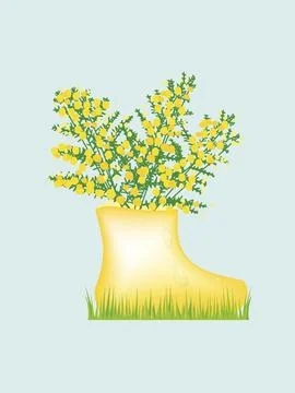 Mimosa branches in a pot in the form of a boot standing on the grass. Stock Illustration