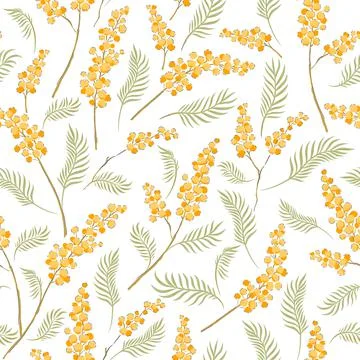 Mimosa flower branches vector seamless pattern. Stock-Illustration