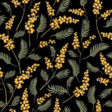 Mimosa flower branches vector seamless pattern. Stock Illustration