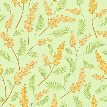 Mimosa flower branches vector seamless pattern. Illustrazione stock