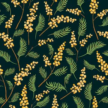 Mimosa flower branches vector seamless pattern. Stock Illustration