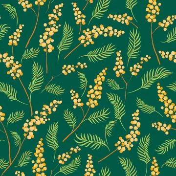 Mimosa flower branches vector seamless pattern. Illustrazione stock