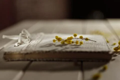 Mimosa flower on a notepad Stock Photos