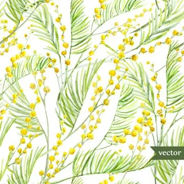 Mimosa pattern Stock Illustration
