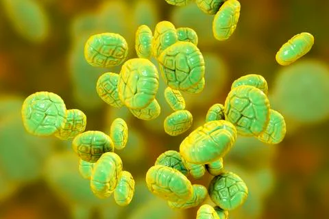 Mimosa pollen, close-up view Stock Illustration