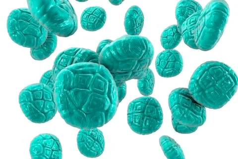 Mimosa pollen, close-up view Stock Illustration