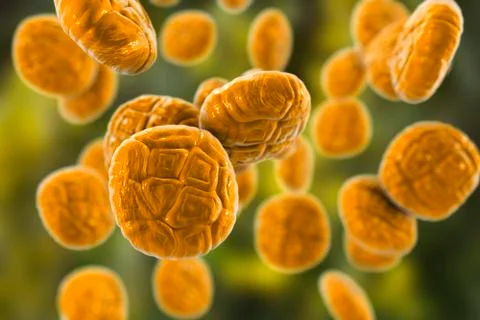 Mimosa pollen, close-up view Stock Illustration