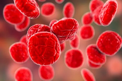 Mimosa pollen, close-up view Stock Illustration
