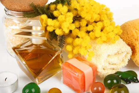 Mimosa SPA Stock Photos