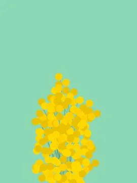 Mimosas Illustration Stock Illustration