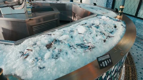 Mina District in Doha, Qatar Stock Footage 327558310