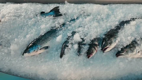 Mina District in Doha, Qatar Stock Footage 327558493