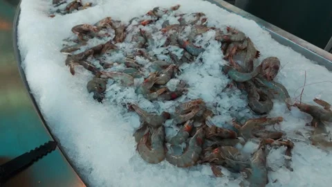 Mina District in Doha, Qatar Stock Footage 327558559