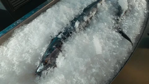 Mina District in Doha, Qatar Stock Footage 327558678