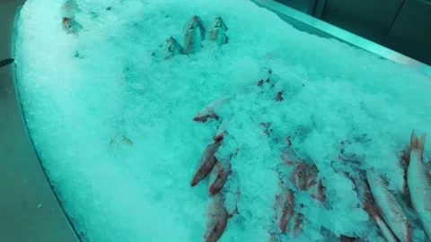 Mina District in Doha, Qatar Stock Footage 327560492