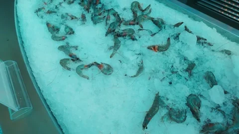 Mina District in Doha, Qatar Video stock 327560567