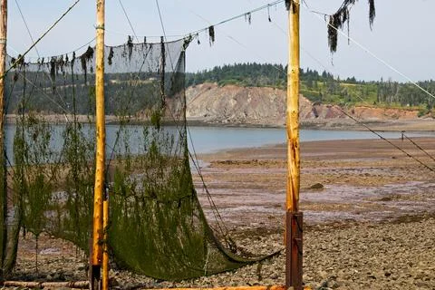 The Minas Basin at mid-tide exposes the algae-covered net of a fishing weir. Stock Photos