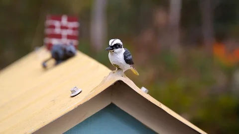 Minature kookaburra on top of postbox Stock Footage 112584953