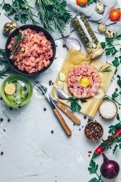 Minced beef meat and steak tartare with yolk Stock Photos