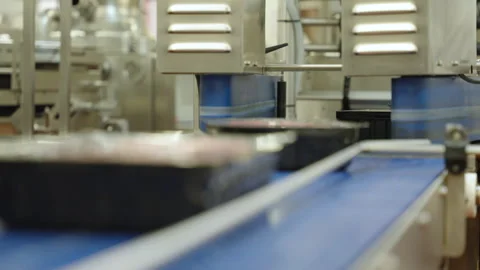 Minced Beef Trays Moving Through Automated Packaging Machine Stock Footage 341852194