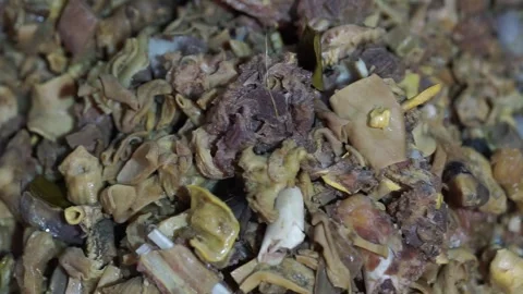 Minced lamb for making curry, seasoning, cut into small pieces authentic detail Stock Footage 293180192