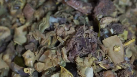 Minced lamb for making curry, seasoning, cut into small pieces authentic detail Stock Footage 293180205