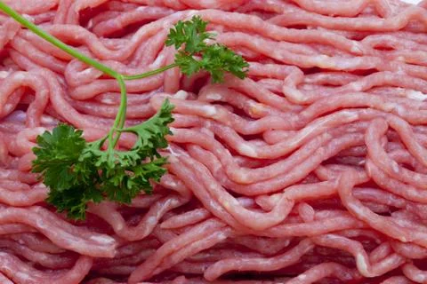 Minced meat with coriander Stock Photos