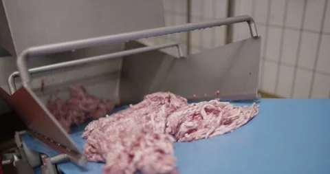 Minced meat falling from grinder onto blue conveyor belt, Slow Motion Stock-Footage 340041226