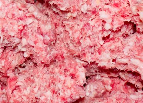 Minced meat. Stock Photos
