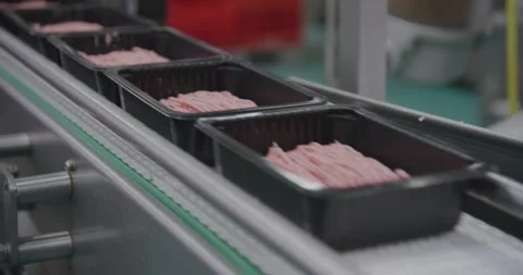 Minced meat in plastic boxes on a conveyor belt. In a slaughter house. Stock Footage 250513803