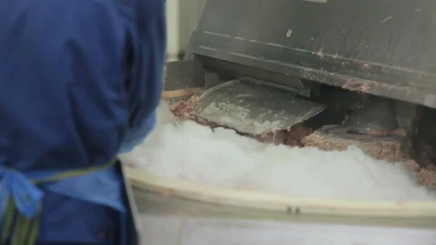 Minced meat production machine mixing meat and spices for making sausages Video stock 87728329