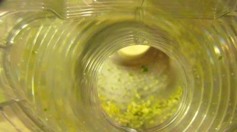 Mincing Garlic Stock Footage 10884190