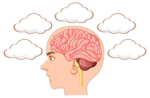 Mind and Clouds: Imagination Unleashed 스톡 일러스트