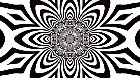Mind-Bending Black and White Kaleidoscope - Hypnotic VJ Loop Stock Footage 284819280