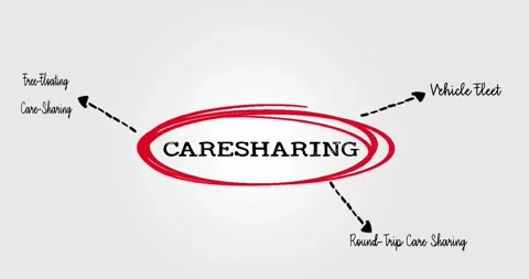 Mind Map Illustration for Carsharing Service Concepts and Solutions Stock Footage 313380890