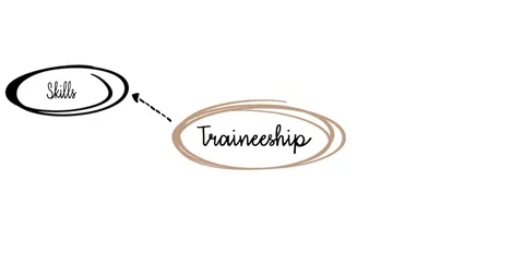 Mind Map Illustration Highlighting Traineeship Overview and Associated Concepts Stock Footage 304091419
