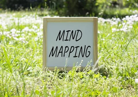 Mind Mapping symbol. Concept word Mind Mapping on white chalk background. B.. Stock Photos
