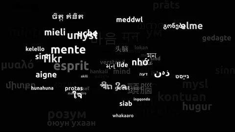 Mind Translated in 74 Worldwide Languages Endless Looping 3d Zooming Wordclou Stock Footage 145194856