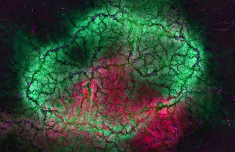 The mindfield collective Stockillustratie