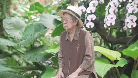 Mindful old elderly senior elder woman meditating in nature garden park Stock Footage 219024953