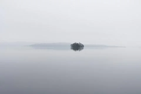 Mindfulness empty background with trees in lake Stock Photos