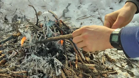 Minding the campfire Stock Footage 47650776