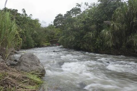 Mindo Ecuador Cloud forests of Mindo (Bosque Protector Mindo Nambillo) Rapids Stock Photos