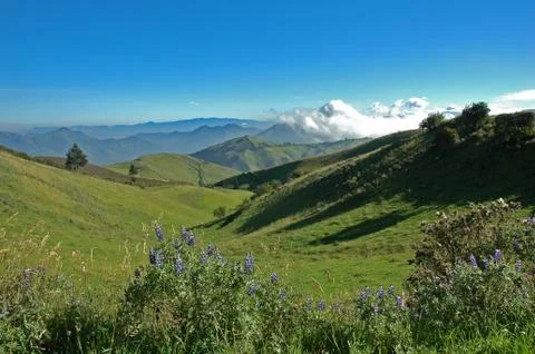 Mindo Ecuador Foto stock
