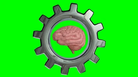 Mindset Training concept of high mental performance, Stock Footage 117784522