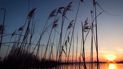 Mine lake Stock Footage 250298240