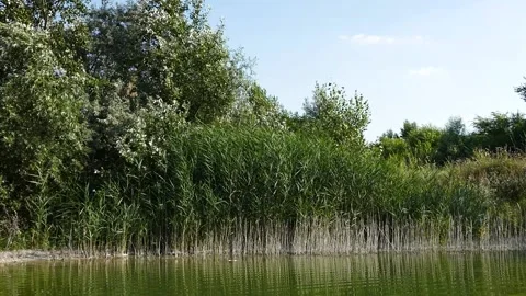 Mine lake, Hungary Stock Footage 221196348
