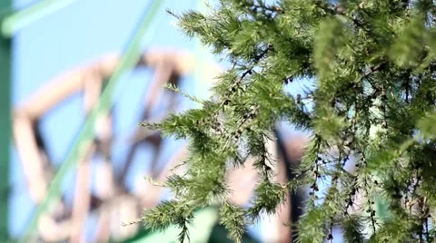 Mine rotating copra Video stock 68395782