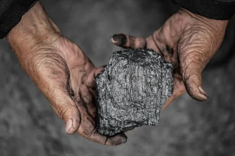 Miner dirty hands holding piece of fossil lignite coal mine Stock Photos
